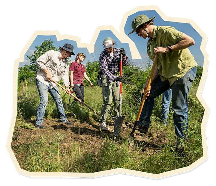 UNT Replanting Natives at Cole Ranch
